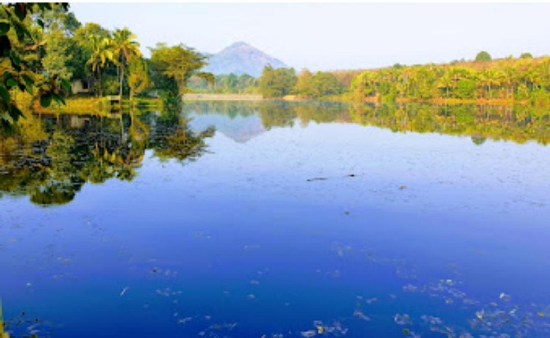 Sparrow Vale Resort Kotamangalam Екстер'єр фото